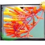 Solljus läsbara LCD-skärmar