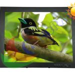 15 inch high bright lcd screen with vesa mount