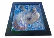17 Inch Marine LCD Screen Waterproof
