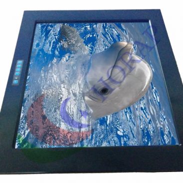 17 Pantalla LCD marina de pulgadas a prueba de agua